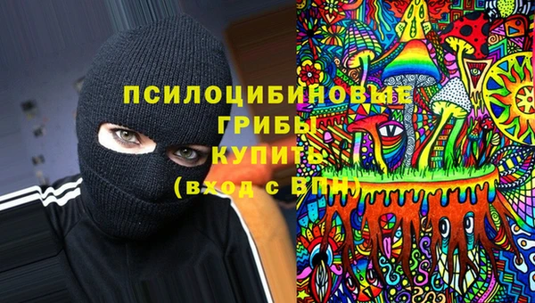 стафф Арсеньев