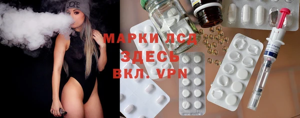 стафф Арсеньев