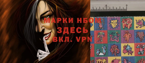 стафф Арсеньев